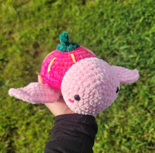 Strawberry Turtle Plush